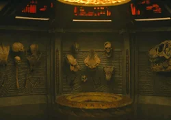 The full trophy wall from Predator: Badlands