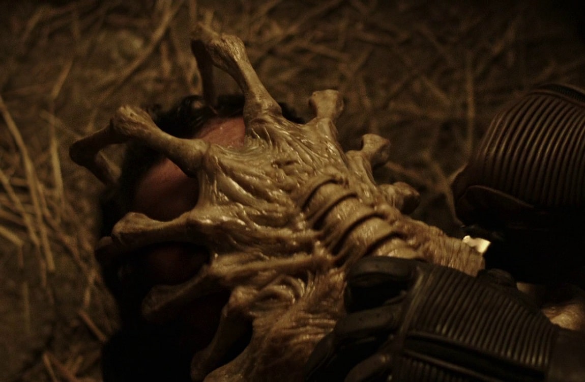 alien vs predator facehuggers