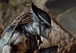 The Falconer Predator from Predators (2010)