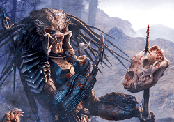 I migliori libri Predator, la copertina di Predator: Turnbout