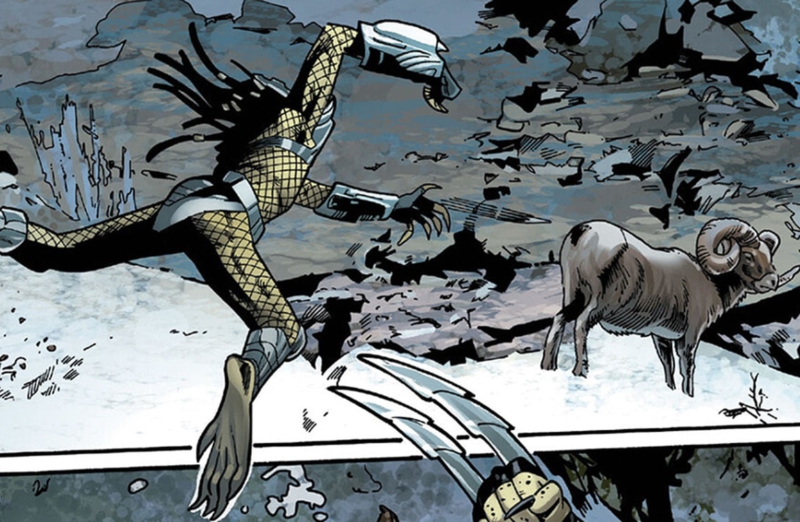 A Predator attacks a Dall Sheep in Wolverine vs. Predator