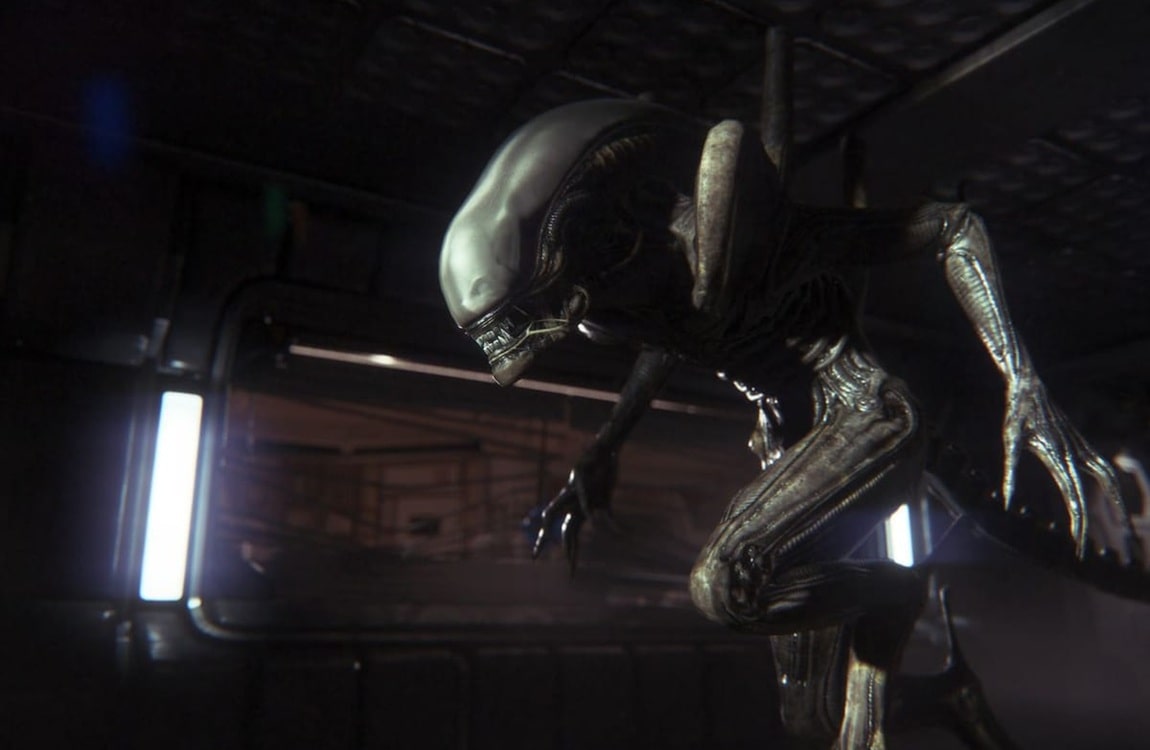 Xenomorph dorsal tubes with sensory functions