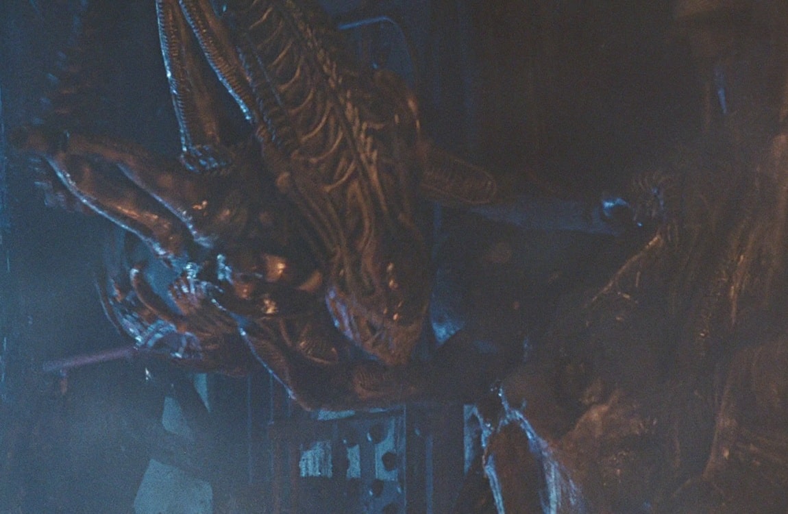 A Xenomorph in the hive in Aliens