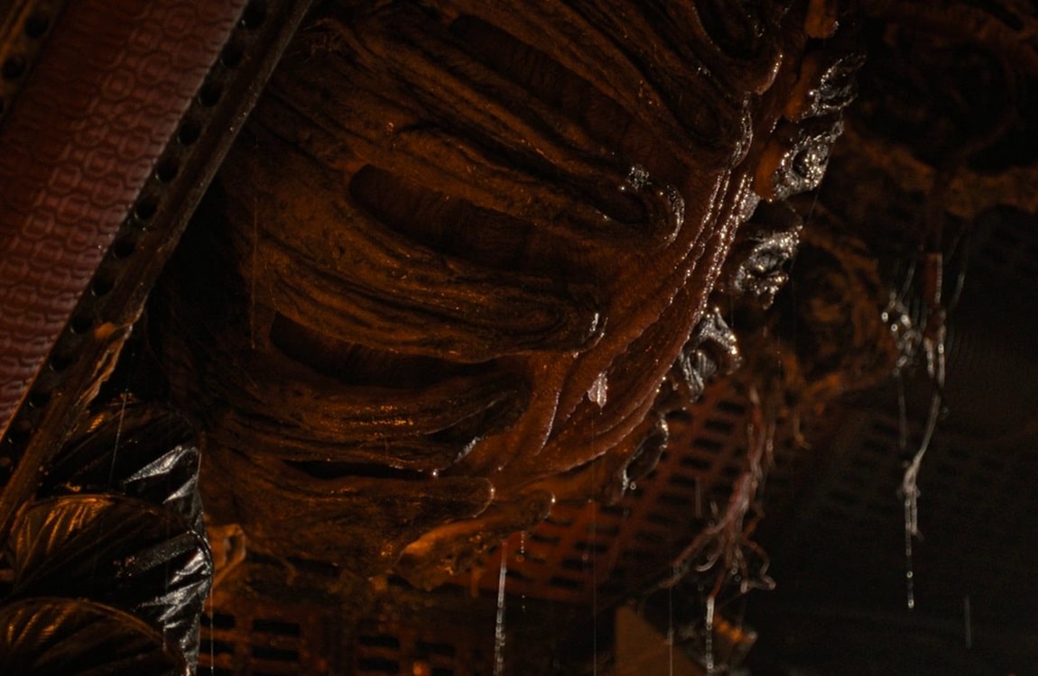 The Cocoon stage from Alien: Romulus