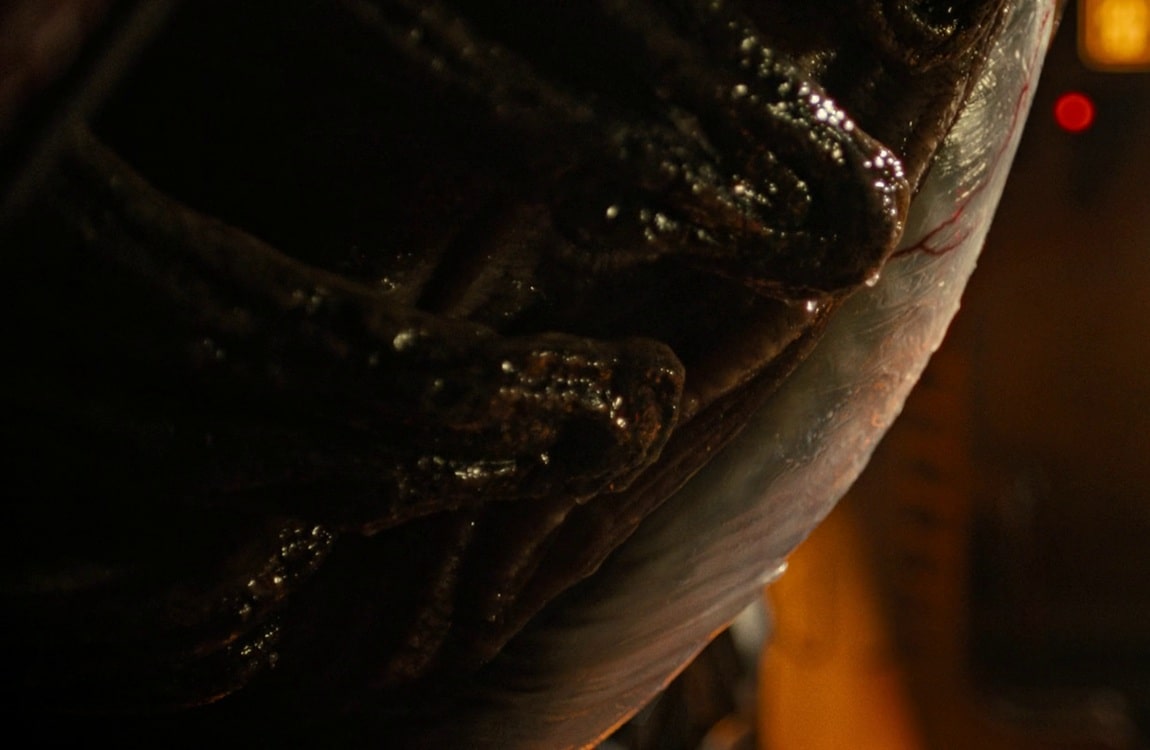 The Juveline Xenomorph rank from Alien: Romulus