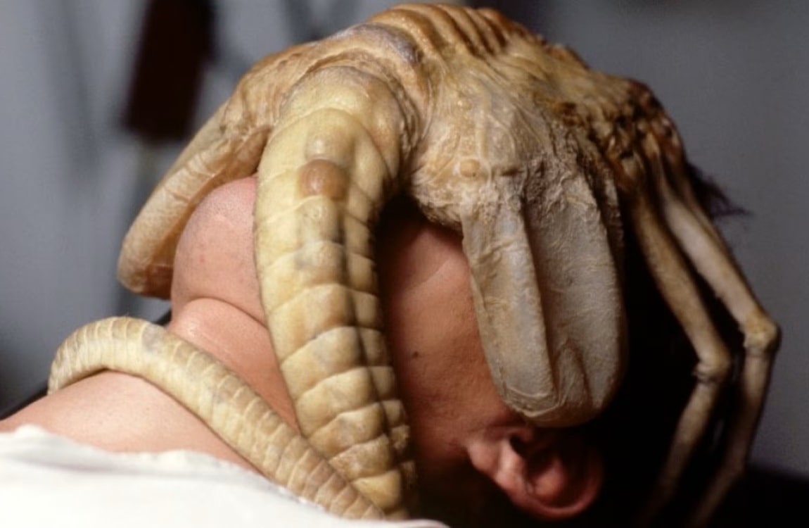 The Facehugger on Kane's face