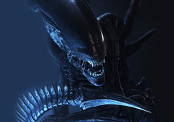 The tail of a Xenomorph