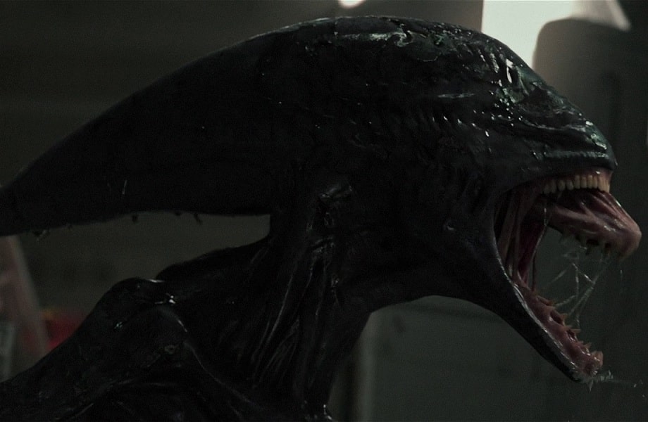 Xenomorph Types: Alien Lifecycle And All Variants | AvP Central