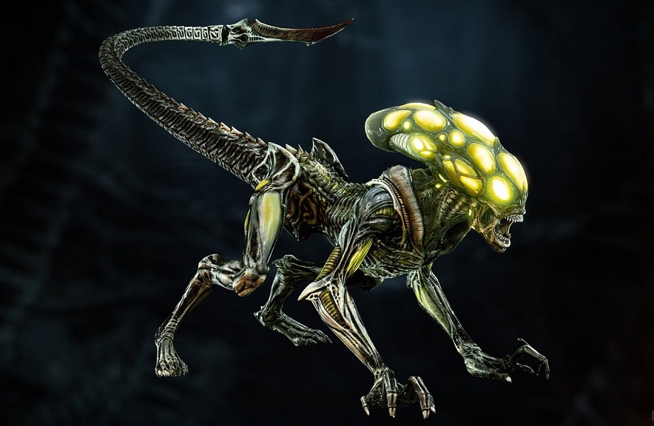 Xenomorph Types: List Of All Alien Castes And Variants | AvP Central