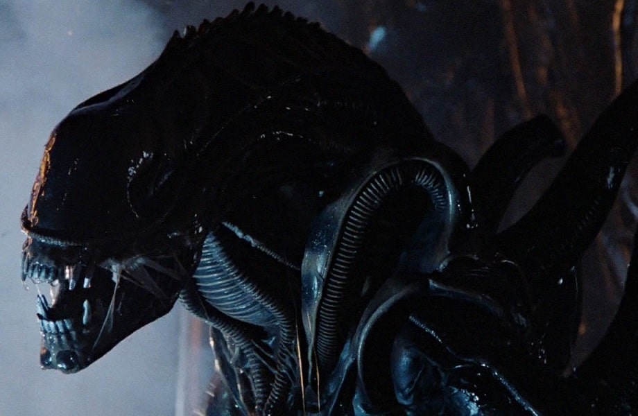 Xenomorph Types: List Of All Alien Castes And Variants | AvP Central