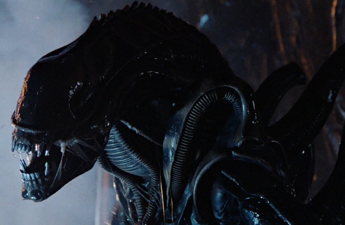 what does a xenomorph look like