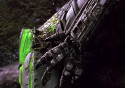 Fingers of the Jungle Hunter from Predator